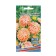 Flowers Astra Pionovid "Alla Borisovna", 0, 2 g,