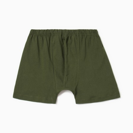 Panties men's boxers Colorista Color Khaki, Rr. 44-46