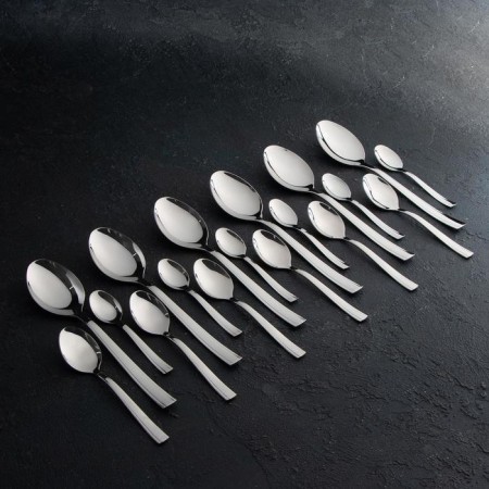 Diningrian "Triumph", 30 objects, thickness 2 mm, decorative box, silver color-2