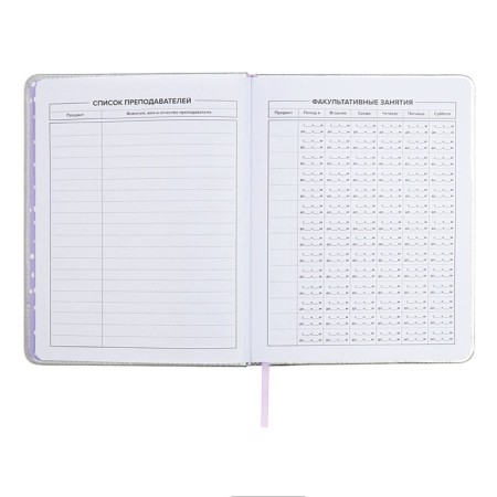 School diary for grades 1-11 "cat", firm covering with foam, artificial leather, application, foil embossing, liesse, 48 sheets, universal cheat sheet, block 80g/m2-6