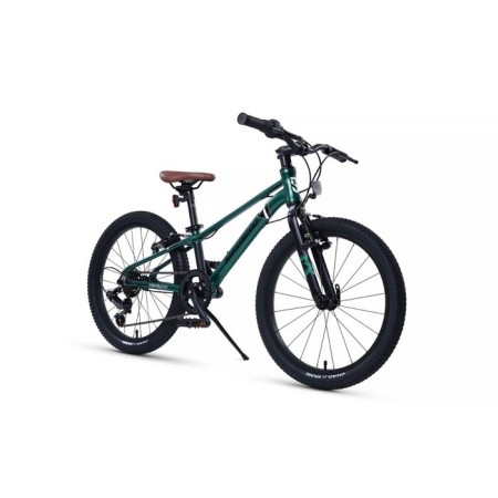 Bicycle 20 ’’ maxiscoo 7bike m200, emerald color-1