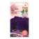 Flowers of Petunia "Isi Vayv Blue", F1, 5 pcs