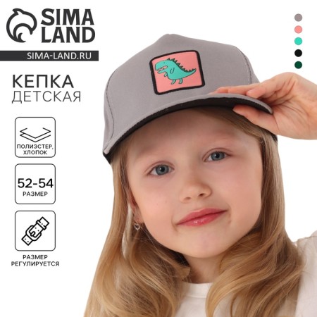 Baby cap for the boy "Dinosaurus", gray color, rr 52-54, 5-7 years old