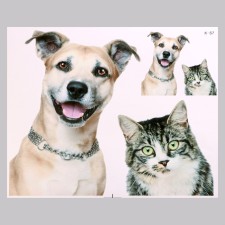 Stick 3D Interior pets 50*40cm
