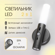 Sconces with a junik movement sensor LED 3000/7000k USB battery silver 7x3x20 cm