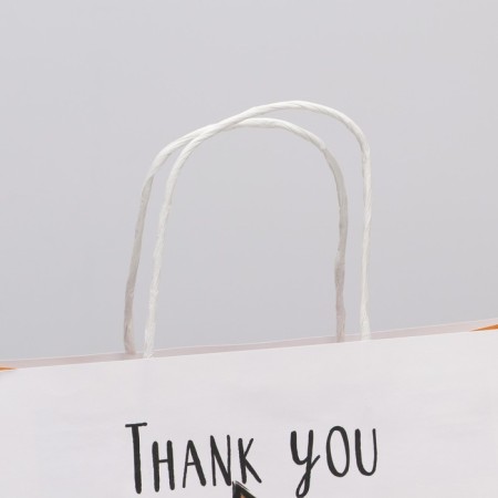 Gift package, packaging, “thank you”, 22 x 22 x 11 cm-2