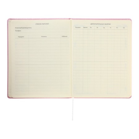Universal diary for grade 1-11 Cherry Blossom, hard cover, artificial leather, foamy, foil, liesse, 80 g/m2-6