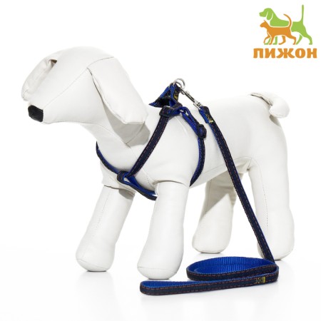 Kit "jeans", leash 120 x 1 cm, og 25-40 cm, blue