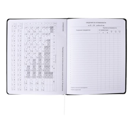 Universal diary for grade 1-11, solid cover, artificial leather, foil embossing, liesse, 80 g/m2-6