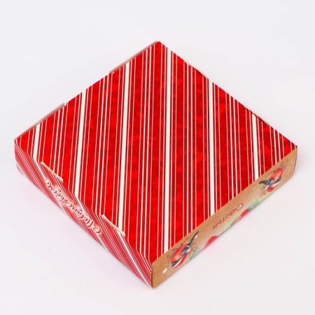 Gift box team with the window "Bullfinch", 13 x 13 x 3 cm-3