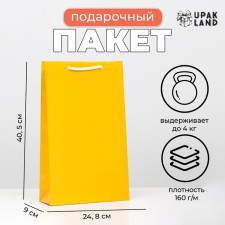 Laminated, gold, 40.5 x 24.8 x 9 cm package