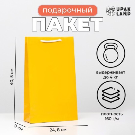 Laminated, gold, 40.5 x 24.8 x 9 cm package