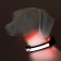 Collar with flash light 3 light modes, size XL, Osh 52-60 x 2.5 cm, red