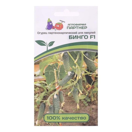 Bingo cucumber seeds, F1, 5 pcs.-2