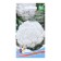 Seeds Cabbage Color "Parisian" Snow White, up to 1 kg, dense 0.25 g