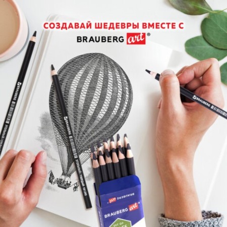 Coal in a pencil set of Brauberg, 12 pieces, different hardness-12