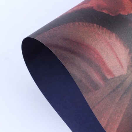Paper packaging for flowers double -sided "flowers", 38 x 50 cm-3