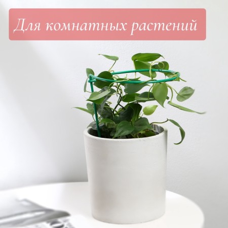 Builder for strawberries, d = 15 cm, h = 25 cm, leg d = 0.3 cm, metal, green, Greengo-3