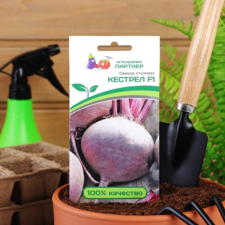 Seeds of beetroot "Kestrel", f1, 1 g-2