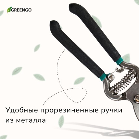 Planning coater, 8 "(20 cm), with metal handles, Greengo-6