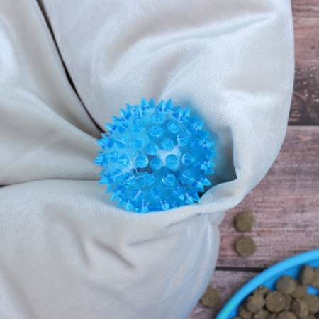 The glowing ball for dogs is medium, tpr, 5.5 cm, blue-1