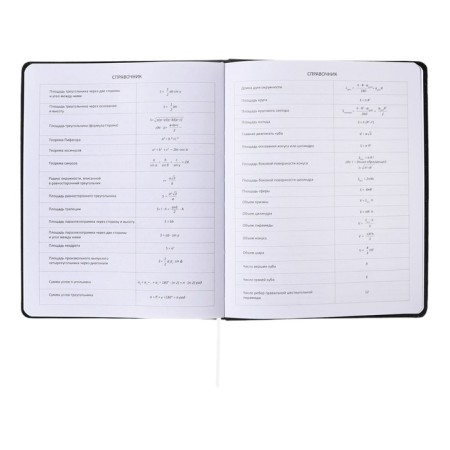 Universal diary for grade 1-11 Tokyo Girls, solid cover, artificial leather, foam rubber, liesse, 80 g/m2-9