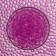 Aquagrunt Fuchsia, 10 g