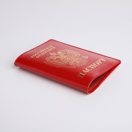 Cover for passport, red color-2
