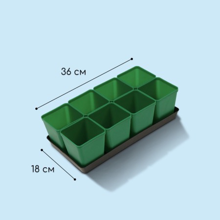 Set for seedlings: glasses of 600 ml (8 pcs), pan 36 × 18 cm, color mix, Greengo-2