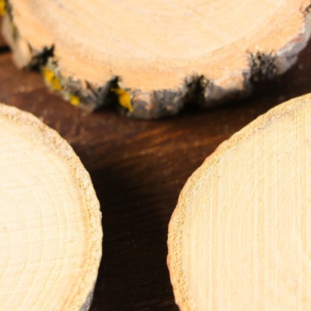 Set of maple cuts 3 pc 5x8x1cm-1