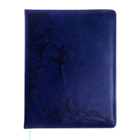 School diary, 5-11 grade, PVC cover, climbing, blue