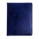 School diary, 5-11 grade, PVC cover, climbing, blue