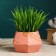 Pot "Romb" 10*10*6, pink