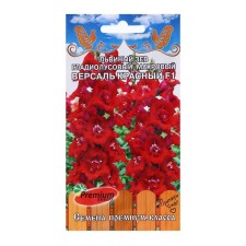 Flower seeds lion Zev Gladiolus terry 