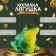 Piggy bank "frog" height 15.5 cm, width 18 cm, length 16 cm