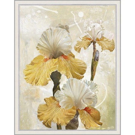 Reproduction of the picture "Romantic irises. No. 1 ”, 50x65, frame (45-a355)