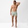 Bathing panties men's minku "palm trees", river 52