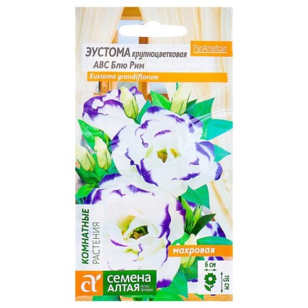 Flowers of Eustoma ABC Blue Rome Terront, CP, 5 pcs.-2