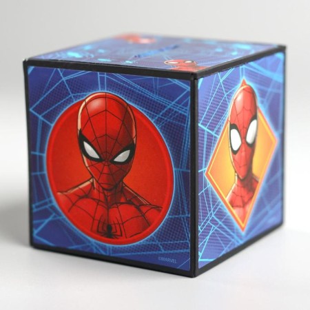 A piggy bank with a focus, 7 x 7 cm "Spider-Men", Spider-Man-1