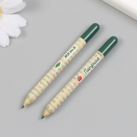 Growing gift pencils Mini "Mint and Paprika" set 2 pcs-3