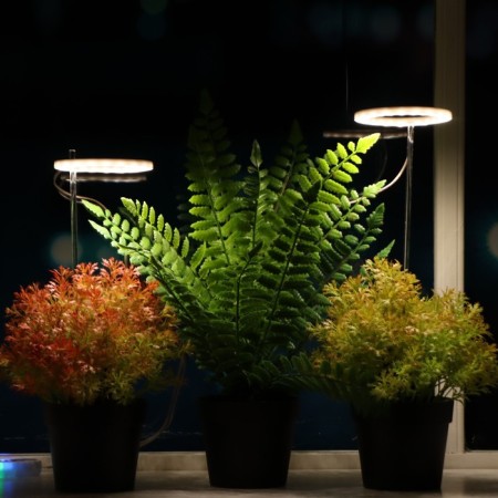 LED phytosvetnel, 4 watts, 5 c, in a pot, USB, full spectral, 2 circles