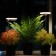 LED phytosvetnel, 4 watts, 5 c, in a pot, USB, full spectral, 2 circles