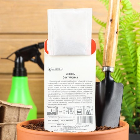 Seeds carrots "September", 2 g-2