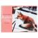 Album for drawing A4, 40 sheets on the clip "Fox", cover coated paper 120 g/m², internal block offset 100 g/m²