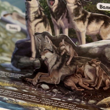 3D Encyclopedia-paranoramka "Predators"-3