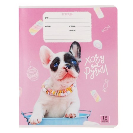 Notebook 12 sheets in a cage on a clip of "cat-piles", cover shaked cardboard, VD-pound, mix-2