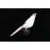 Wall lamp (sconces) Astor LED 3000k 10W
