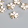 Decor for creativity plastic, enamel "Flower with a gold petal" set of 30 pcs 1.2x1.2 cm