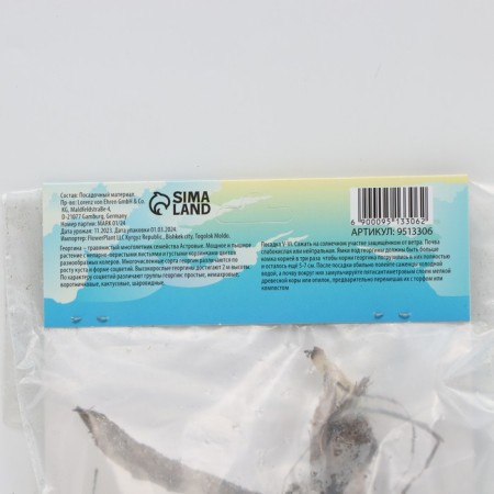 Georgin decorative "Berliner Lemon", rr I, 1 pc, spring 2024-2