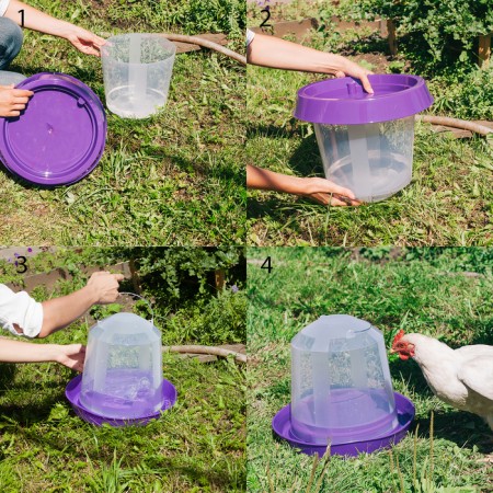 Drill for poultry, 10 l, color mix-6